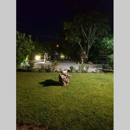 Tranquil Garden